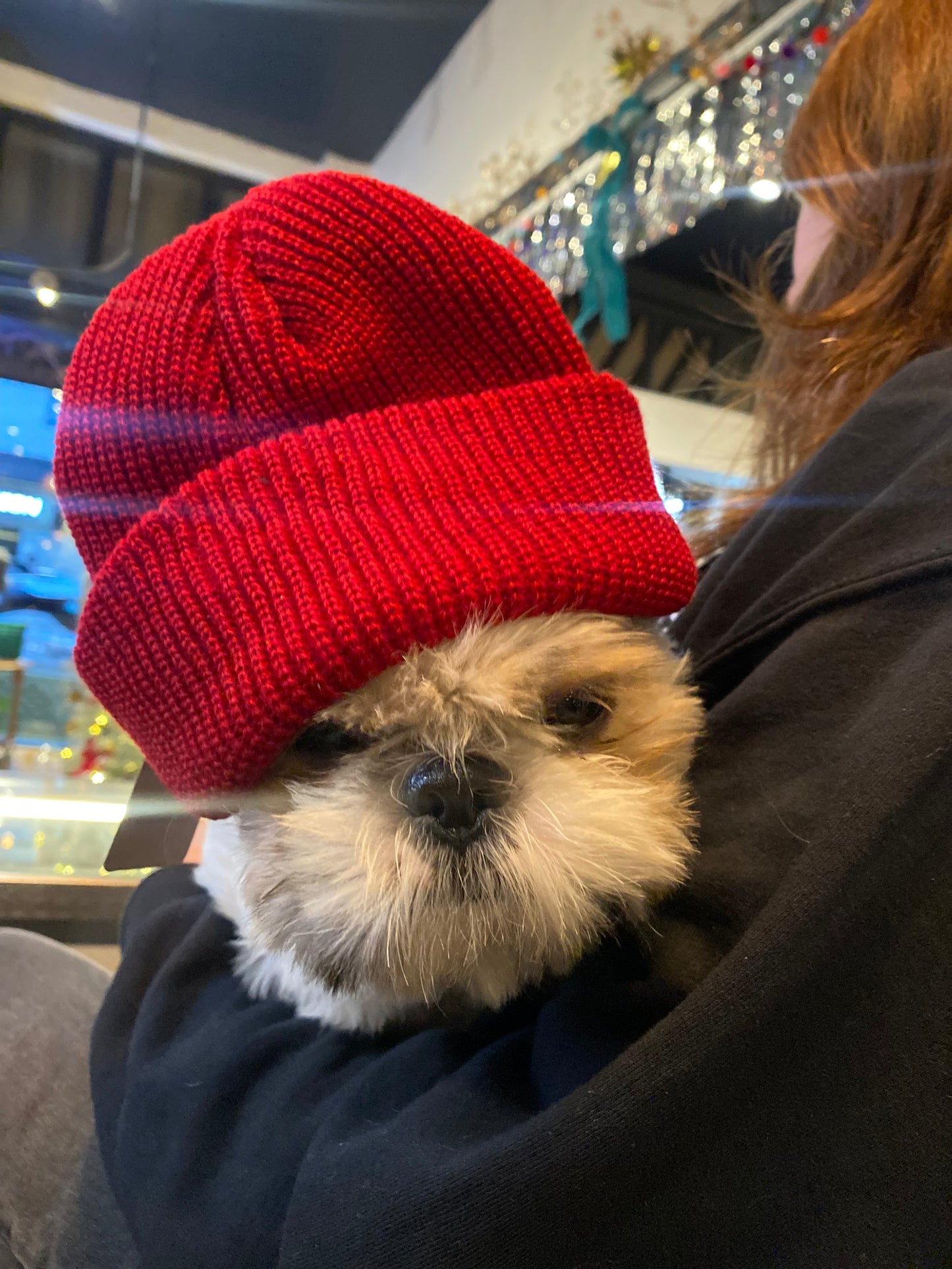 Basic Beanie