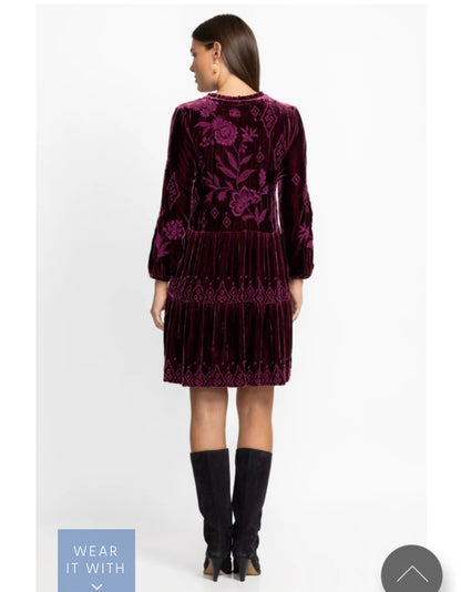 Ivey Velvet Field Dress