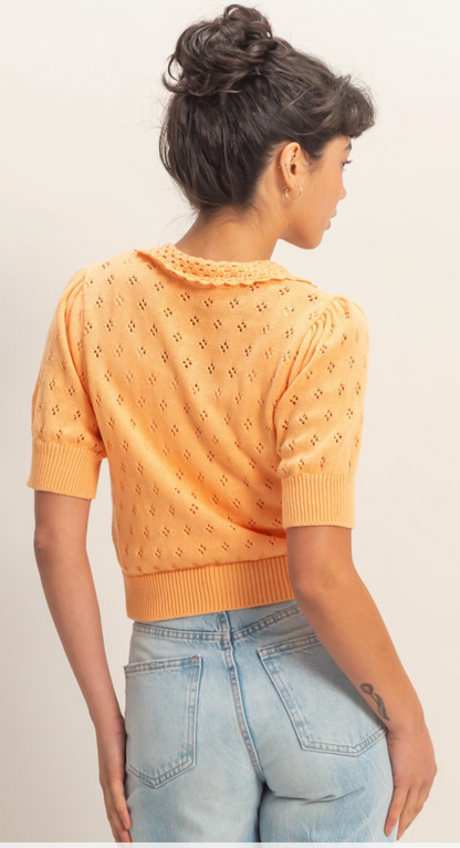 Pointelle Button Up Knit Top